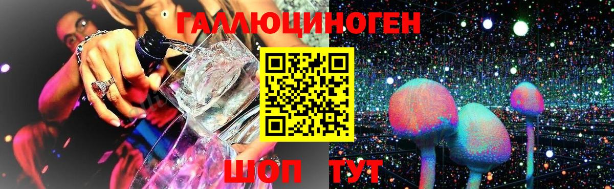 Елизово  купить наркоту  Вход с VPN  Псилоцибиновые грибы мицелий  Галлюциногенные грибы Magic Shrooms 